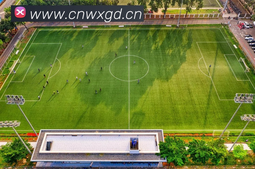 开云kaiyun体育app入口登录官网平台生态图