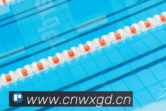 开云kaiyun体育app入口登录官网全站App